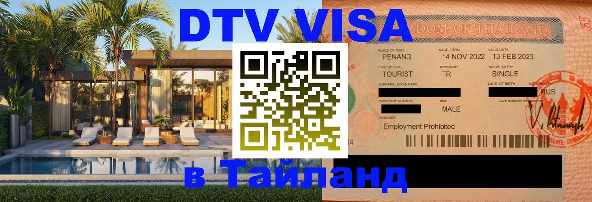 Оформление DTV визы под ключ: стоимость и тарифы, только загранпаспорт - Владимир  18.11.2025 